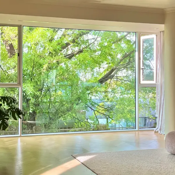 アルミニウム合金の床から天井までの窓